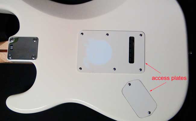 guitar access plate inspection